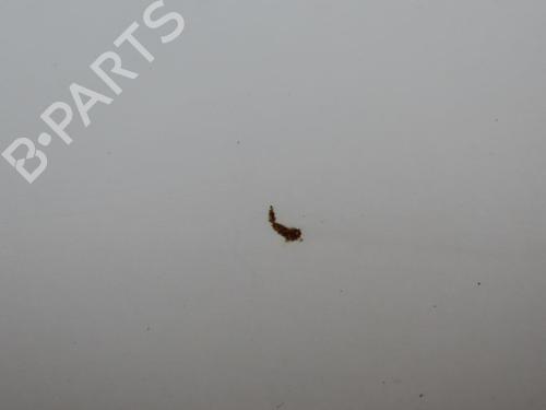 Used Hood KIA PICANTO II (TA) 1.2 (85 hp) 28051178