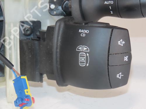 Ratstangsstang RENAULT SCÉNIC III (JZ0/1_) 1.5 dCi | BP30892928I23