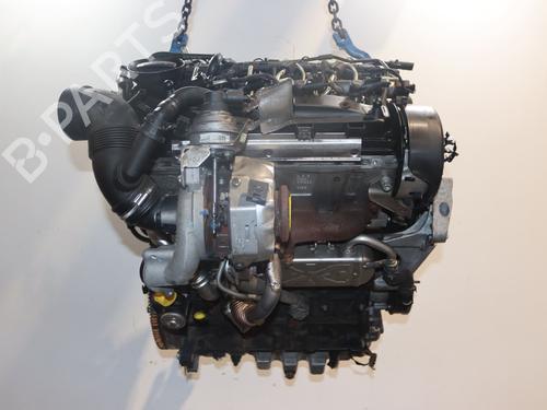 Used Engine AUDI A3 (8P1) 1.6 TDI (105 hp) 30916424