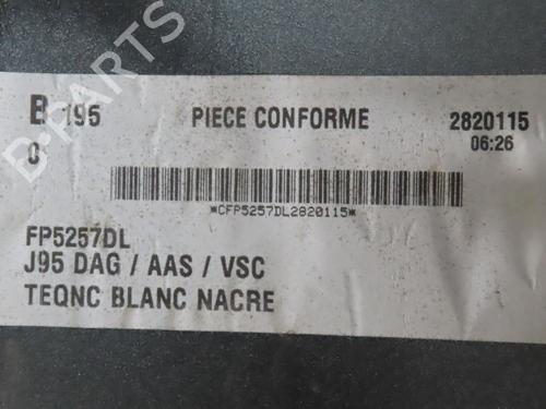 Corner bumper RENAULT SCÉNIC III (JZ0/1_) 1.6 dCi (JZ00, JZ12) | BP31155364C117 