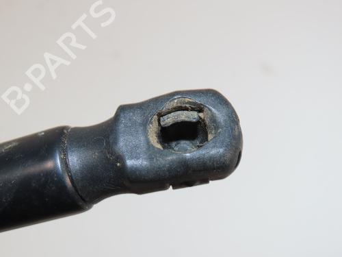 tailgate-lift-support-ford-fiesta-vii-hj-hf-2017-31605687 main image