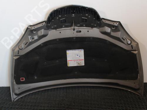Used Hood LANCIA YPSILON (843_) 1.2 (843.AXB1A) (80 hp) 23162255