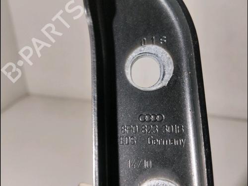 Hinge/Door check strap AUDI A3 Sportback (8PA) 1.6 TDI | BP14897651C146 