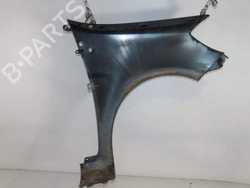 Left front fenders RENAULT CLIO III (BR0/1, CR0/1) 1.2 16V (BR02, BR0J, BR11, CR02, CR0J, CR11) | BP23162127C41 