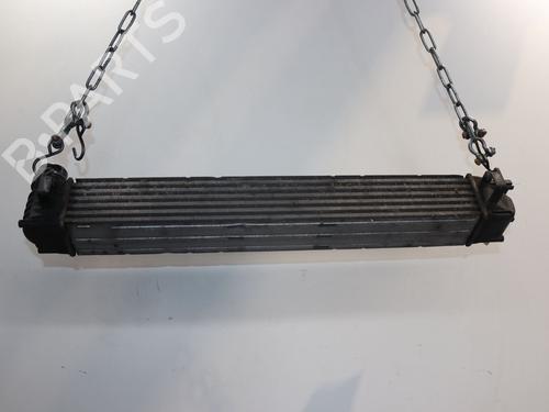 other-renault-megane-iii-hatchback-bz01_-b3_-2008-28159517 main image