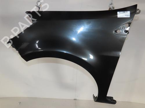 Left front fenders RENAULT CLIO III (BR0/1, CR0/1) 1.5 dCi (BR17, CR17) | BP28082378C41 