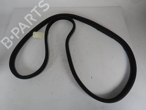 Rubber door seal RENAULT CLIO III (BR0/1, CR0/1) 1.5 dCi (BR17, CR17) | BP25779155C142 
