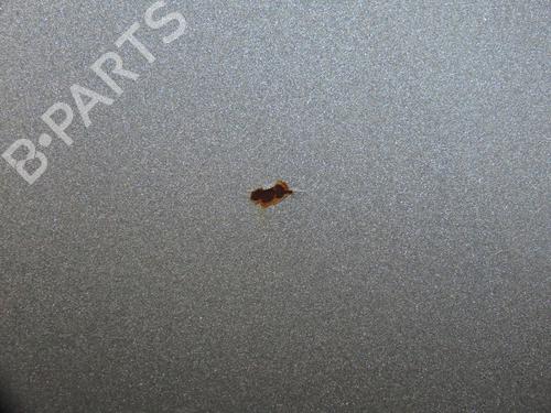 Used Left front fenders TOYOTA AURIS (_E15_) 1.4 D-4D (NDE150_, NDE150R) (90 hp) 32399939