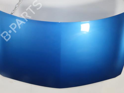 Motorhjelm RENAULT MEGANE II (BM0/1_, CM0/1_) 1.6 16V (BM0C, CM0C) | BP29215260C1 