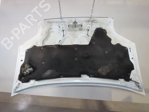 Hood FORD TRANSIT CONNECT (P65_, P70_, P80_) 1.8 TDCi | BP19123829C1
