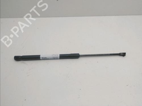 Used Tailgate lift support SEAT IBIZA IV (6J5, 6P1) 1.2 (60 hp) 14899433