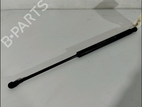 Used Tailgate lift support FIAT GRANDE PUNTO (199_) 1.3 D Multijet (199.AXD11, 199.AXD1A, 199.AXD1B,... (90 hp) 14899467
