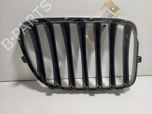 Grill BMW X1 (E84) xDrive 18 d (136 hp) 9390439