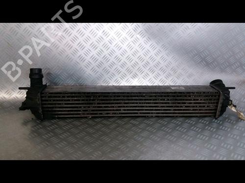 Used Other RENAULT LAGUNA III (BT0/1) 1.5 dCi (BT00, BT0A, BT0T, BT1J) (110 hp) 14894872