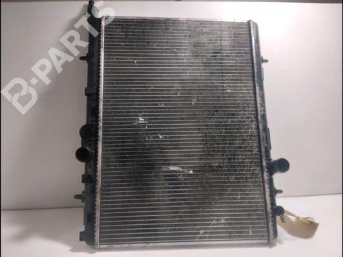 Used Water radiator Water radiator PEUGEOT 206 Hatchback (2A/C) 1.9 D (69 hp) 10730826 10730826