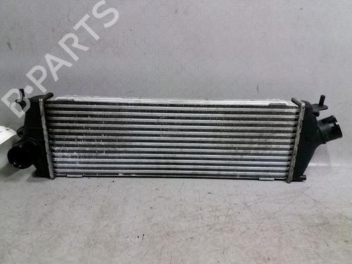 Used Other RENAULT TRAFIC II Van (FL) 2.0 dCi 90 (FL0H) (90 hp) 14894840