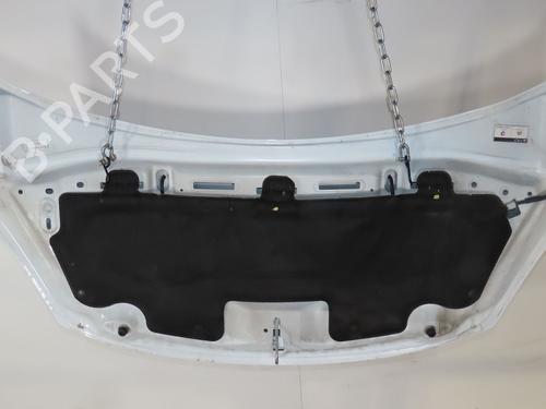 hood-citroen-c3-ii-sc_-2009-28177894 main image