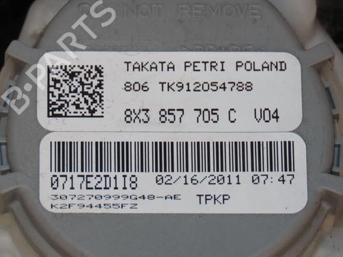 Front left belt tensioner AUDI A1 (8X1, 8XK) 1.2 TFSI | BP29846083C87 