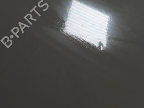 Right front door FIAT 500 (312_) 1.3 D Multijet (312AXB1A) | BP31140895C3