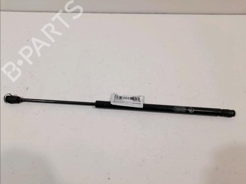 Used Hood lift support RENAULT SCÉNIC III (JZ0/1_) 1.9 dCi (JZ0J, JZ1J, JZ1K, JZ1S) (131 hp) 14960293