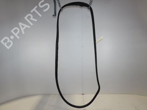 rubber-door-seal-renault-grand-scenic-ii-jm01_-2004-2005-2006-2007-2008-2009-27926470 main image