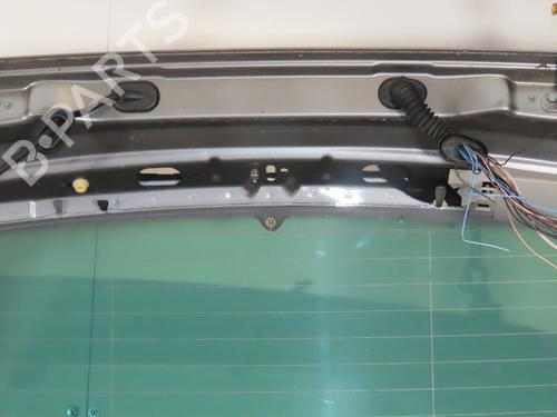 Tailgate RENAULT SCÉNIC III (JZ0/1_) 1.5 dCi | BP30798279C6 