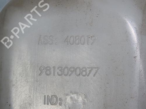 Dørliste CITROËN C3 III (SX) 1.2 VTi 82 (82 hp) 24488678