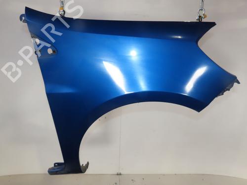 Right front fenders RENAULT CLIO III (BR0/1, CR0/1) 1.5 dCi (C/BR0G, C/BR1G) | BP28416643C42 