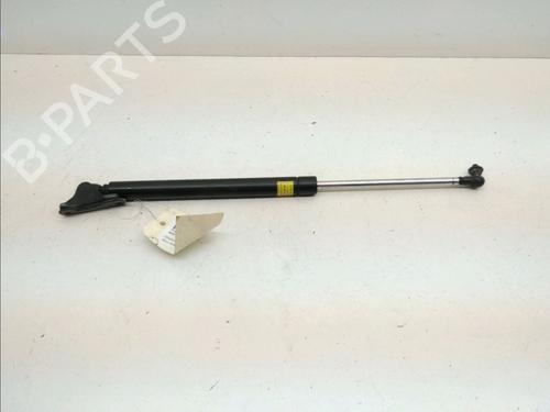 Tailgate lift support TOYOTA COROLLA Liftback (_E11_) 2.0 D-4D (CDE110_, CDE110R) | BP23164215C138