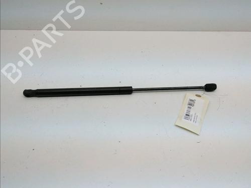 Gassdemper Bakluke FORD FOCUS II (DA_, HCP, DP) 1.6 TDCi (90 hp) 14899418