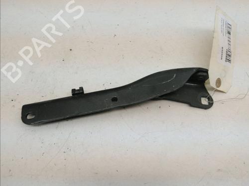 Hinge/Door check strap CITROËN C6 (TD_) 2.2 HDi | BP23162324C146 