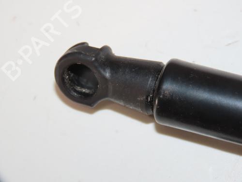 Used Tailgate lift support RENAULT TWINGO II (CN0_) 1.2 16V (CN0K, CN0V, CN0A) (76 hp) 30768041