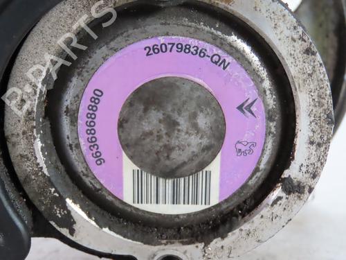 Steering pump PEUGEOT 206 CC (2D) 1.6 16V (2DNFUF, 2DNFUR) | BP29494463M99 