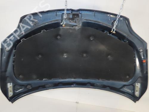 Hood VW GOLF PLUS V (5M1, 521) 1.9 TDI | BP25150248C1 