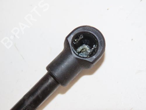 Tailgate lift support RENAULT TWINGO II (CN0_) 1.2 16V (CN0K, CN0V, CN0A) | BP30798285C138