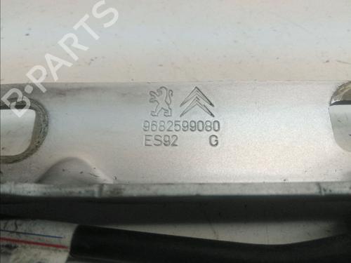 Hinge/Door check strap PEUGEOT 3008 I MPV (0U_) 1.6 HDi | BP15492778C146 