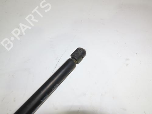 Gasdæmper bagklap RENAULT AVANTIME (DE0_) 2.2 dCi (DE01) (150 hp) 18352613