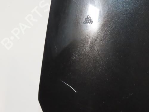 Used Hood RENAULT KANGOO / GRAND KANGOO II (KW0/1_) 1.5 dCi 90 (KW05, KW08, KW0G, KW11) (90 hp) 30652038