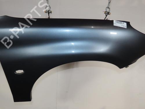 Right front fenders PEUGEOT 206 CC (2D) 1.6 HDi 110 | BP29846093C42
