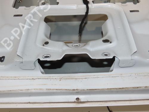 Used Tailgate Tailgate 39518846 39518846