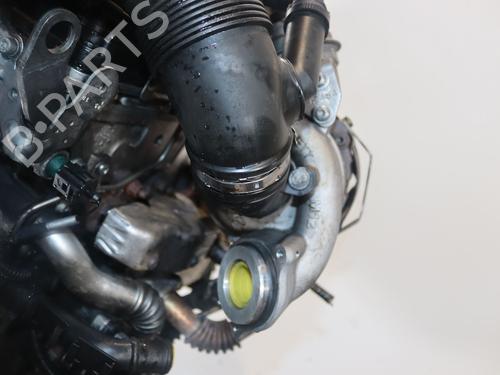 Motor für VW GOLF VI (5K1) 1.6 TDI (105 hp) 31747709