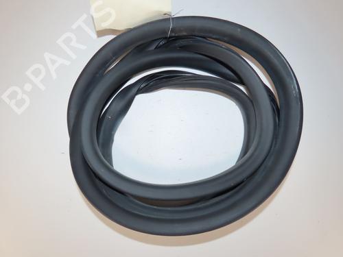 Gummilist RENAULT ZOE (BFM_) ZOE (88 hp) 30825187