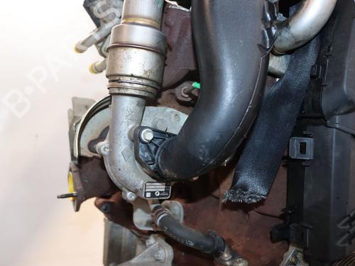 Used Engine RENAULT TWINGO II (CN0_) 1.5 dCi 75 (75 hp) 30139875