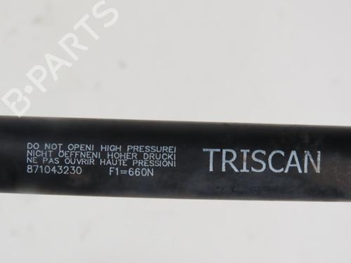 Used Tailgate lift support HYUNDAI SANTA FÉ II (CM) 2.2 CRDi 4x4 (155 hp) 29963054