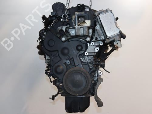 Used Engine FORD FOCUS III 1.6 TDCi ECOnetic (105 hp) 27352391