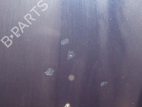 Hood JAGUAR X-TYPE I (X400) 2.2 D | BP28121080C1 