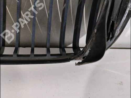 Grille BMW 3 (E46) 330 d | BP11725530C40 