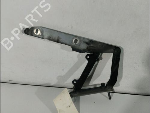 Hinge/Door check strap LAND ROVER RANGE ROVER SPORT I (L320) 3.0 D 4x4 | BP14897657C146 