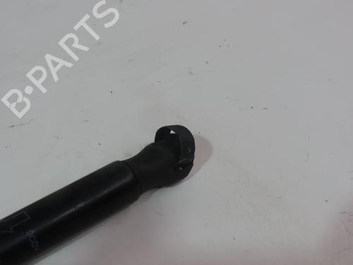 Hood lift support LAND ROVER RANGE ROVER EVOQUE (L538) 2.2 D 4x4 | BP17514699C139