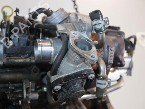Used Engine Engine 38005080 38005080